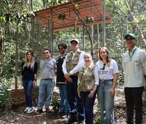 Papagaios-do-mangue e jabutis chegam a Alagoas com missão de contribuir para refaunação e replantio de florestas em área de Mata Atlântica
