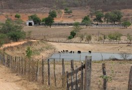 Governo do Estado decreta situação de emergência em 37 municípios