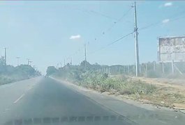 Incêndios atingem áreas de vegetação às margens da AL-115, em Arapiraca