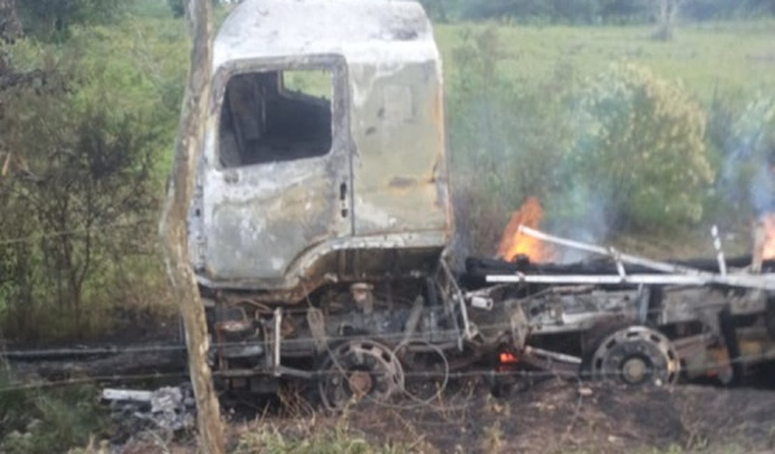 VÍDEO. Caminhão bate em árvore, pega fogo e fica totalmente destruído, na AL-115