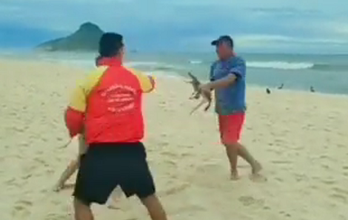 Banhistas brigam por causa de jacaré em praia do Rio de Janeiro
