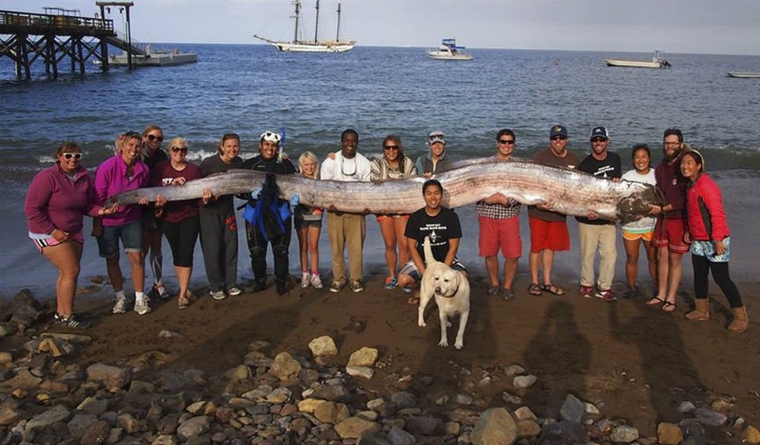 Peixes encontrados na Califórnia podem ser o prenúncio de um terremoto