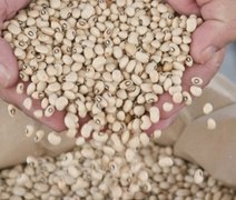 Inscrições para o Programa de Distribuição de Sementes terminam nesta sexta-feira (18)