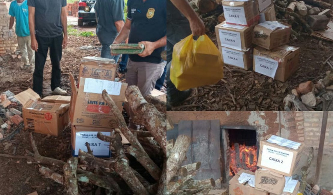 Mais de 150 quilos de drogas apreendidas em Arapiraca são incineradas