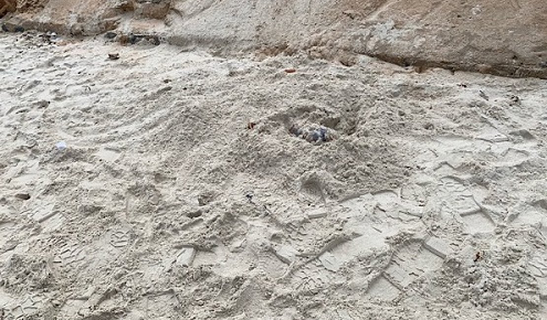 Polícia localiza suspeito de ter matado e enterrado mulher na Praia do Francês