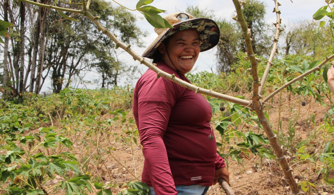 Participação do interior no PIB de Alagoas supera a capital, aponta IBGE