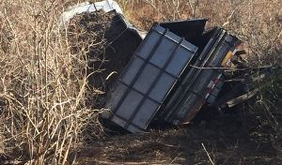 Motorista pula do caminhão após perceber falha mecânica, em Palmeira dos Índios