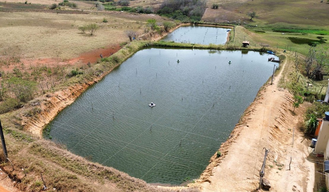 Criatório de camarões é notificado e tem prazo de 30 dias para adequação às normas ambientais, em Alagoas