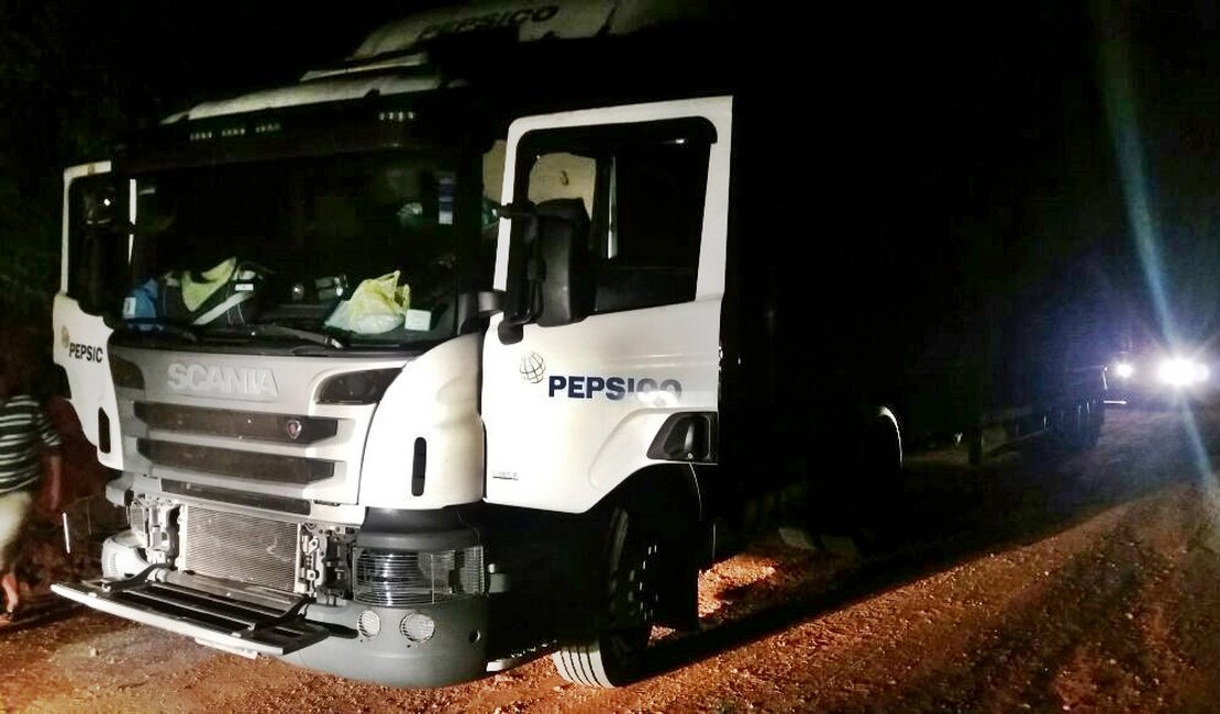 Guarda Civil recupera caminhão roubado na BR 101 em Teotônio Vilela