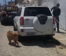 Ação policial, em Maceió, resgata animal abandonado em residência por dono que viajou