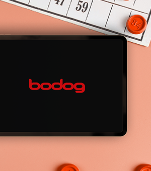 Bingo: onde jogar online?