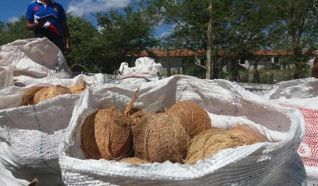 Agricultores familiares vendem produções a entidades sociais em nova etapa do PAA