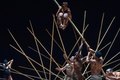 Companhia de Dança Deborah Colker apresenta espetáculo “Sagração” em Maceió