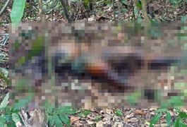 Cadáver em estado avançado de decomposição é localizado em matagal no interior alagoano