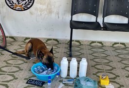 Planalto: Com a ajuda de cão farejador, polícia encontra drogas na casa de homem que bateu na namorada