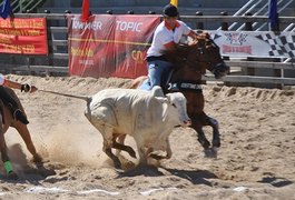 Senado deve votar na terça PEC que legaliza vaquejada