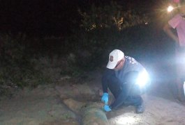 Corpo de usuário de drogas é encontrado em cova rasa na praia de São Miguel dos Milagres