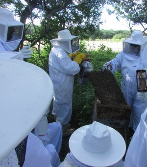 Expedição em cidade alagoana mostra como a apicultura pode transformar vidas