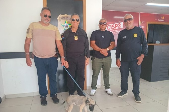 Homem causa ferimento grave no globo ocular de cachorro e é preso em Teotônio Vilela