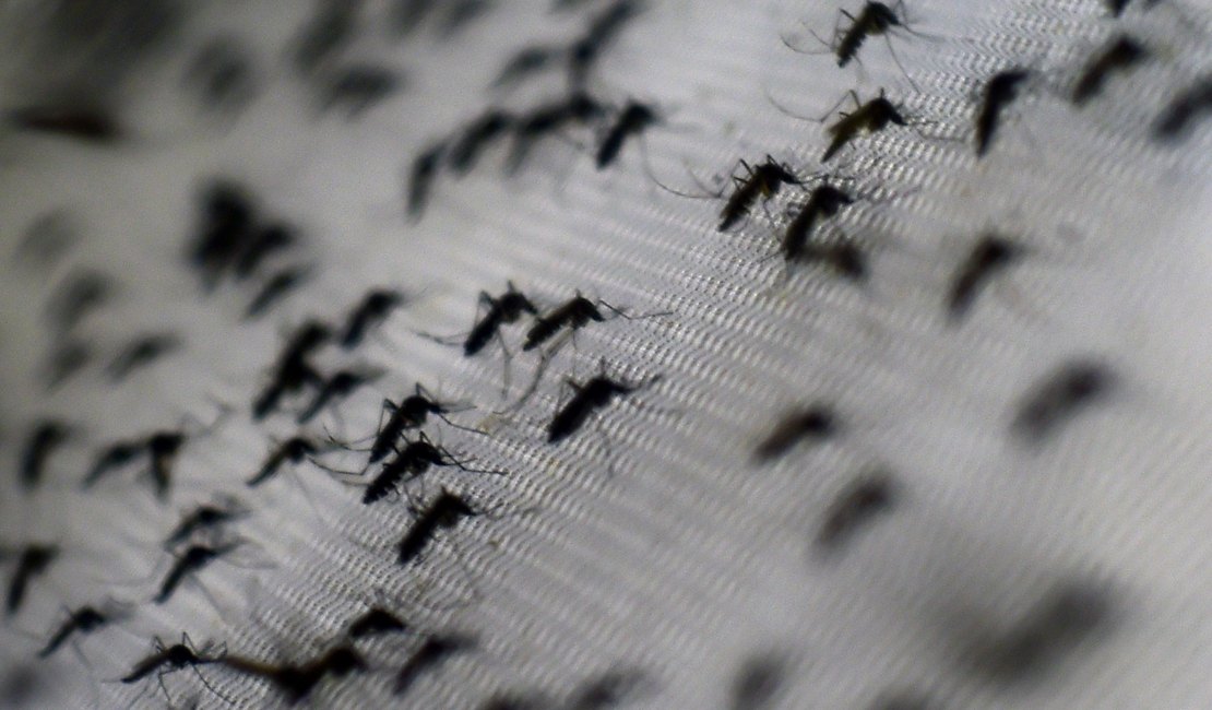 Colômbia registra 3.100 grávidas com Zika e nenhum caso de microcefalia