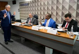 Senador tenta entregar réplica de feto para o ministro Silvio de Almeida, que recusa: 'Não vou receber'