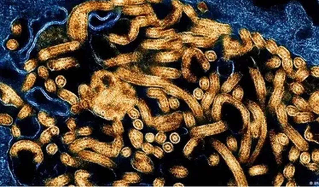 OMS declara surto de ebola na África: “Emergência global”