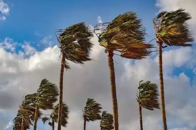 Ventos de até 70 km/h podem atingir Alagoas nos próximos dias, alerta Defesa Civil
