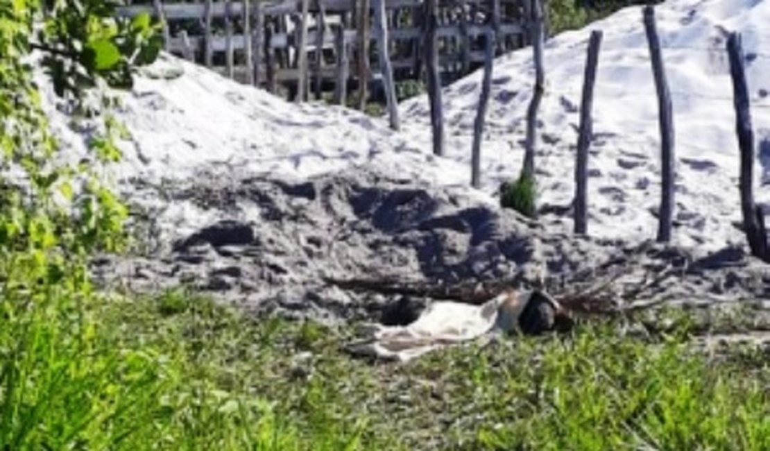 Grupo criminoso que matou três jovens em Maragogi tem integrantes de Alagoas e Pernambuco