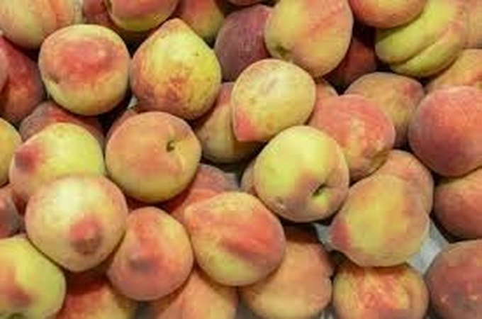 Governo federal compra R$ 4 milhões em suco de pêssego do RS