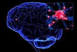 Mal de Alzheimer, Mal de Parkinson e outras doenças causam perda da memória