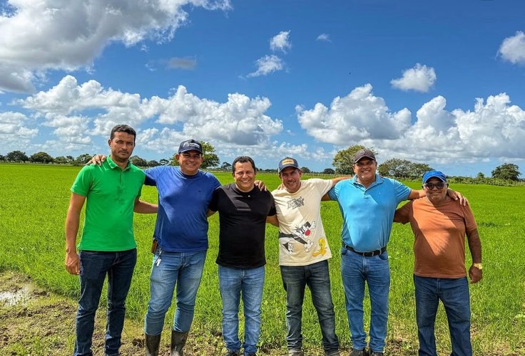 Após cerca de 20 anos, agricultores da Ponta Mofina em Penedo voltam a plantar arroz