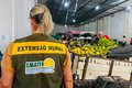Emater e Fapeal lançam edital para bolsas de extensão em diversas áreas
