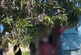 Homem é preso suspeito de adotar cadelas para manter relações sexuais no interior alagoano