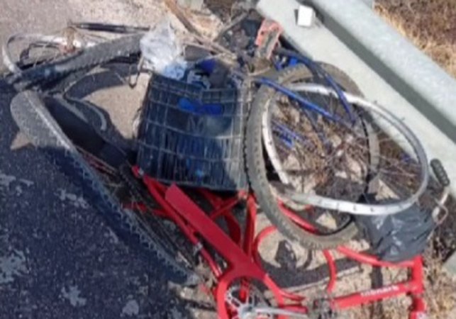Idoso morre após ter bicicleta atingida por caminhão, na BR 316, em Santana do Ipanema