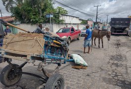 Para evitar colisão em carro, moto bate em carroça de burro em Arapiraca