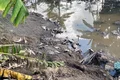 Maus-tratos e carcaças às margens de rio: abatedouro clandestino é autuado em Alagoas