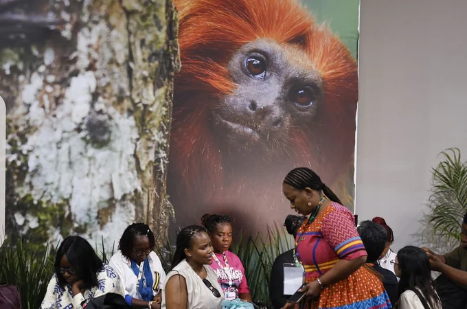 COP30: financiamento, transição e adaptação são centro das negociações