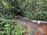 Rota do Cacau amplia ecoturismo e preservação ambiental em Matriz de Camaragibe