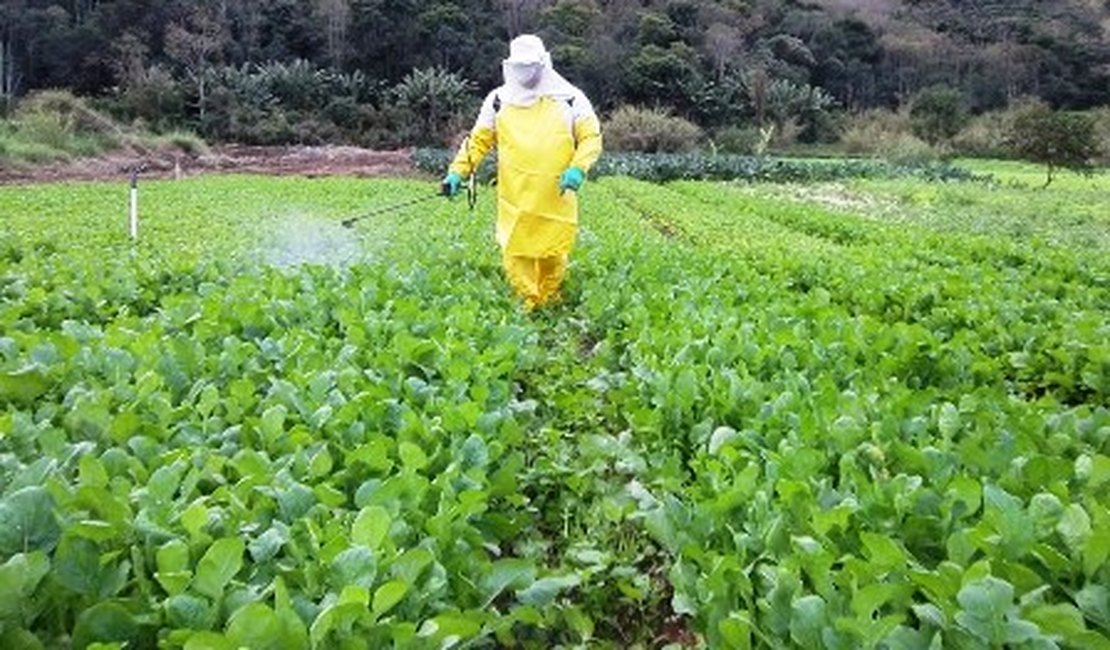 Agrotóxicos terão risco reavaliado pela Anvisa e podem ser retirados do mercado