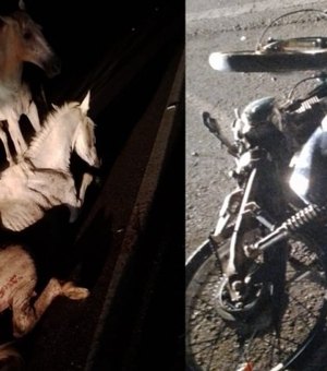 Condutor de motocicleta morre após colidir veículo contra animal no Sertão de Alagoas