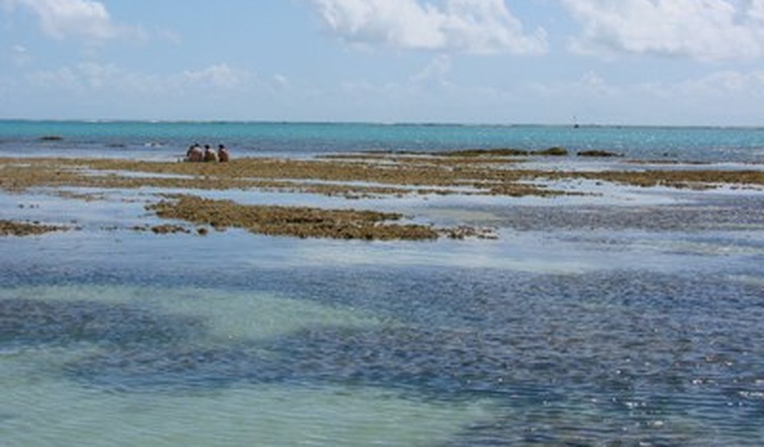 Confira as praias próprias para banho no litoral alagoano