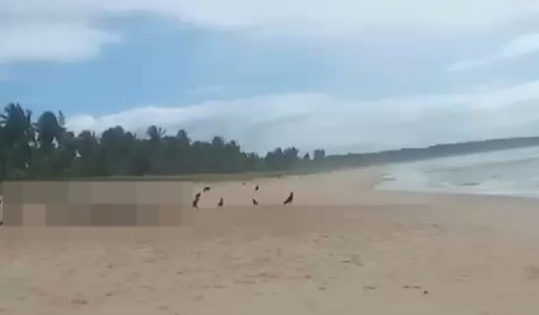 Vídeo. Corpo de banhista que se afogou na Praia de Lagoa do Pau é encontrado