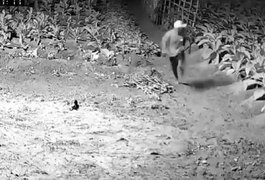 VÍDEO: Homem é perseguido e corre em meio a plantação antes de ser executado em Craíbas