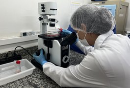 Pesquisa financiada pela Fapeal desvenda a evolução genética do vírus chikungunya em Alagoas