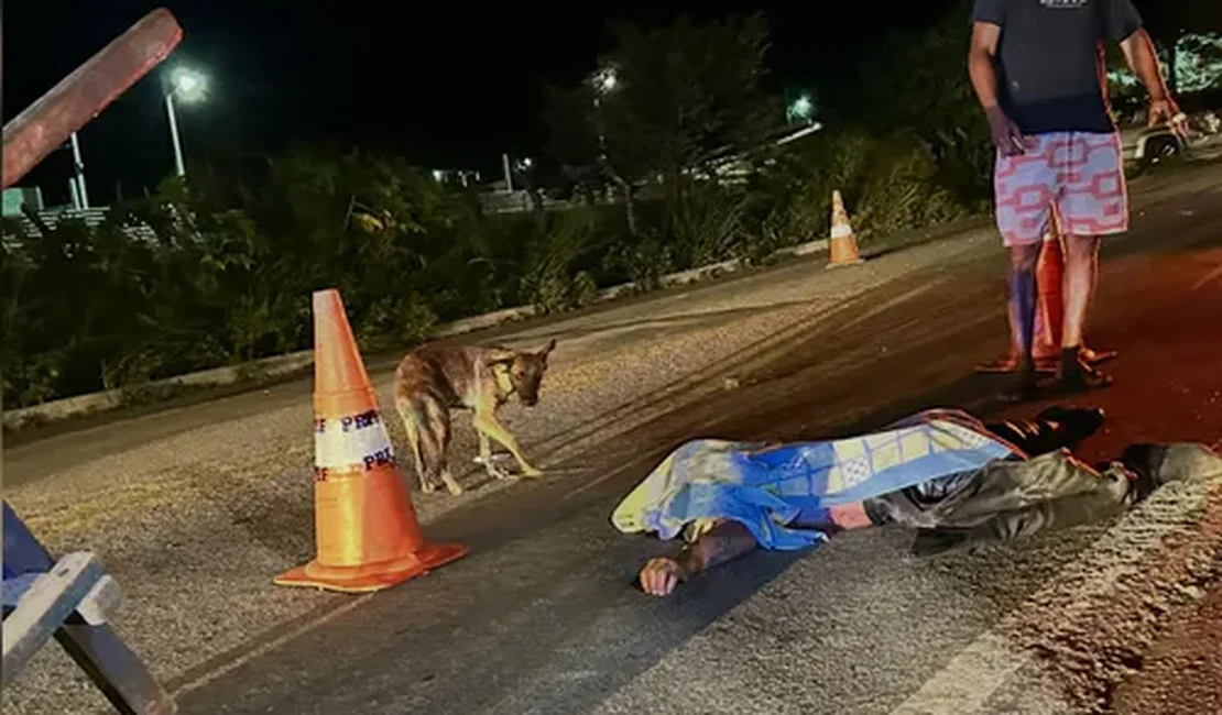 Homem morre após caminhonete atingir cavalo na BR-104, em União dos Palmares