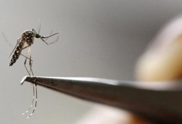 Mayaro: mais um vírus transmitido pelo Aedes aegypti que pode se espalhar