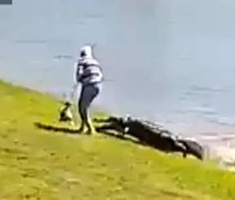 Vídeo inédito mostra ataque fatal de jacaré a idosa nos EUA