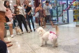 Animais de estimação são liberados para circular em shopping de Maceió