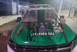 Oito armas, munições e aves silvestres são apreendidas no Agreste alagoano