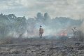 Bombeiros combatem incêndio em vegetação próxima a tubulações da Petrobras, em Arapiraca